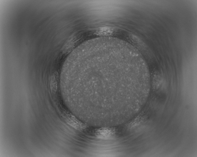 X0000056350370200509232111