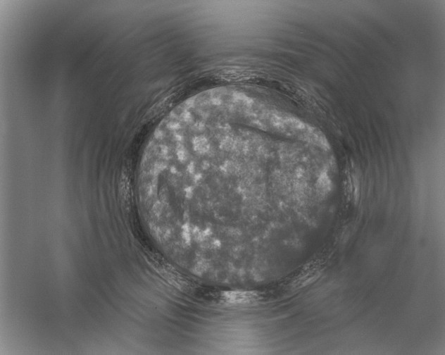 X0000056350371200509232111