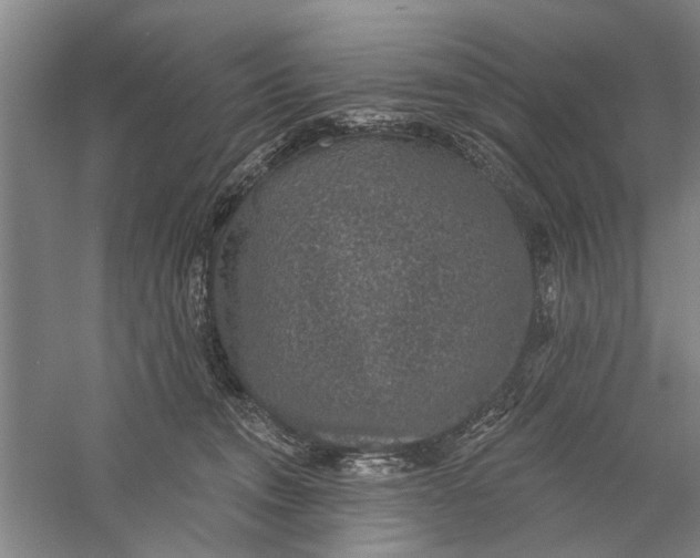 X0000056350372200509232111