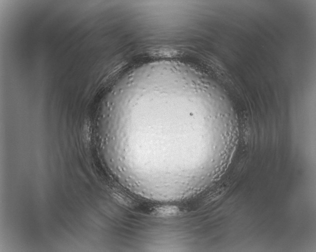 X0000056350374200509232111