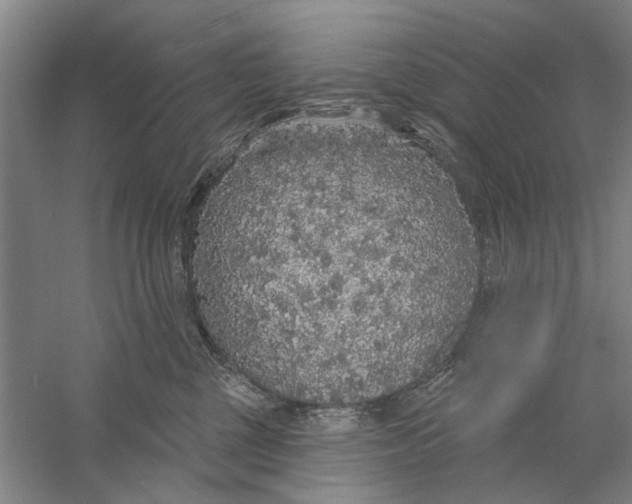 X0000056350377200509232112