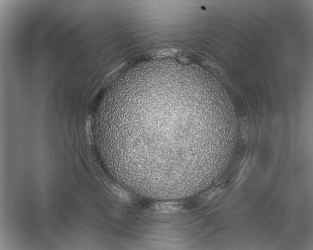 X0000056350378200509232112