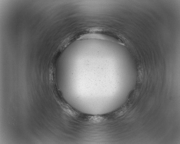 X0000056350379200509232112