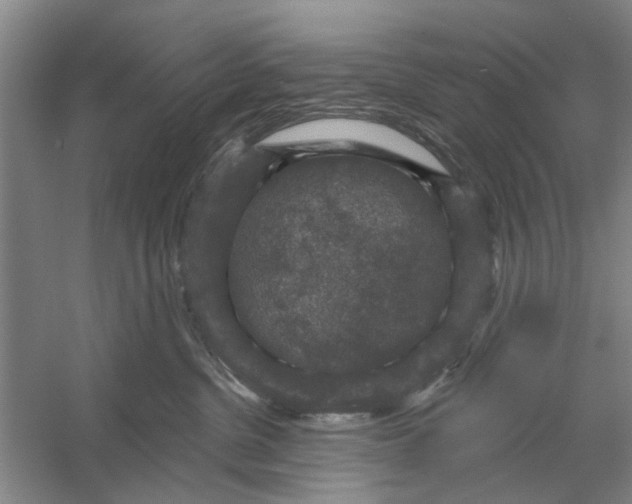 X0000056350380200509232112