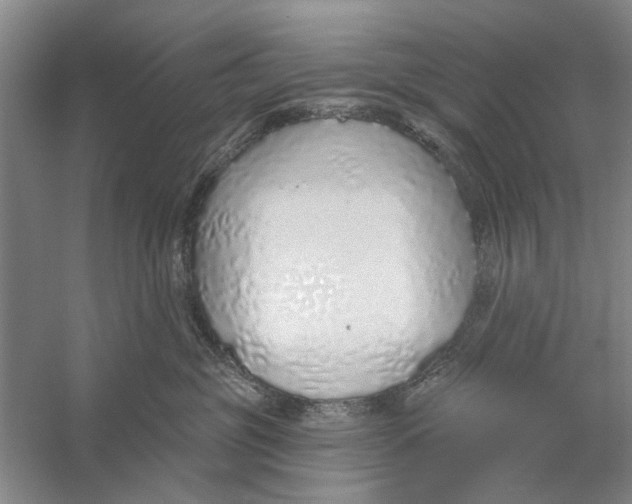 X0000056350381200509232112