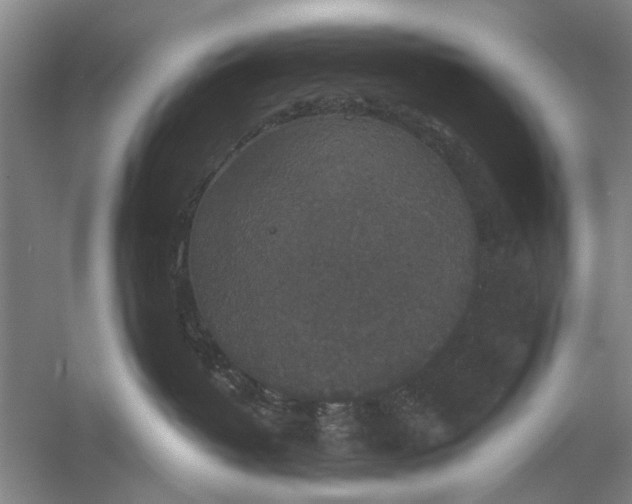 X0000056350382200509232112