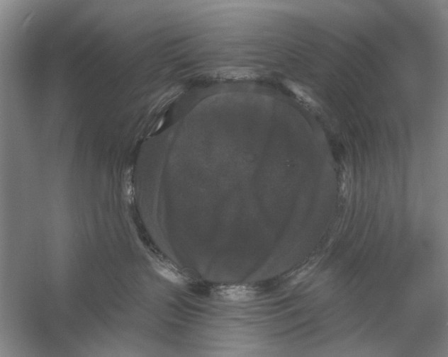 X0000056350383200509232112