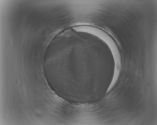 X0000056350385200509232111