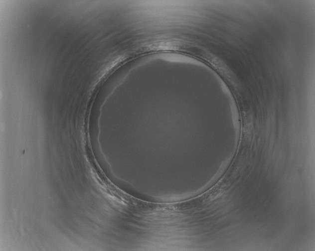 X0000056350386200509232111