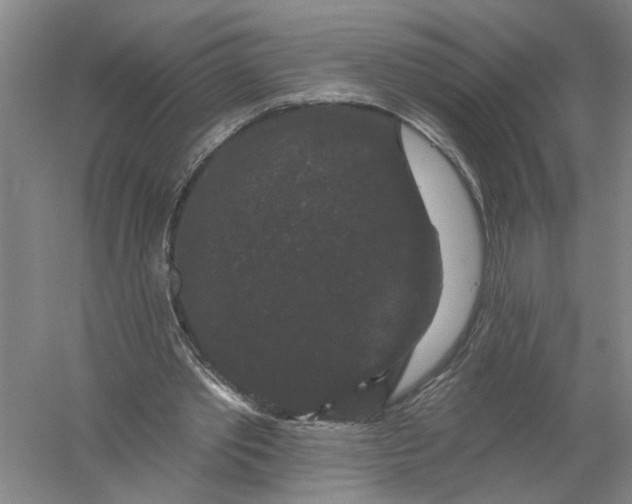 X0000056350389200509232111