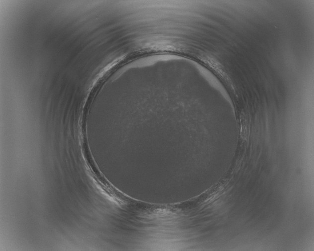 X0000056350390200509232111