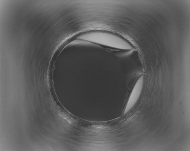 X0000056350391200509232111