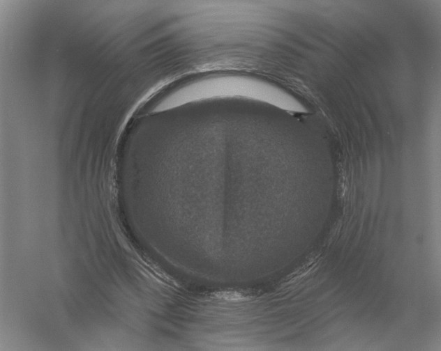 X0000056350392200509232111