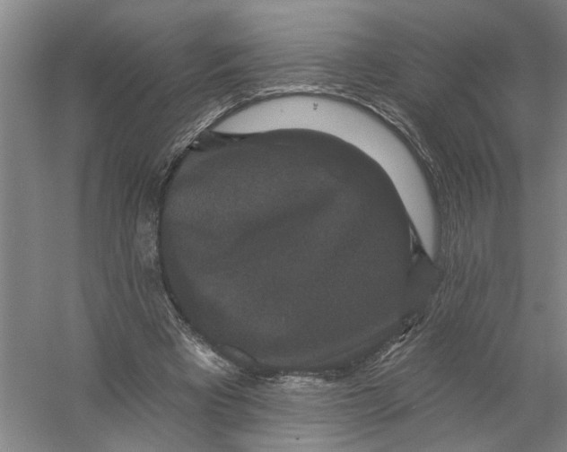 X0000056350393200509232111