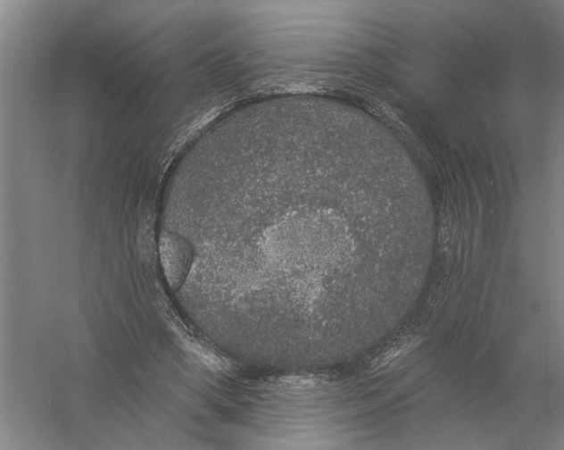 X0000056350394200509232111