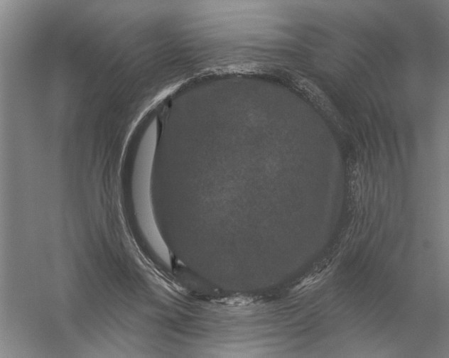 X0000056350395200509232111