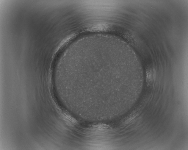 X0000056350396200509232111