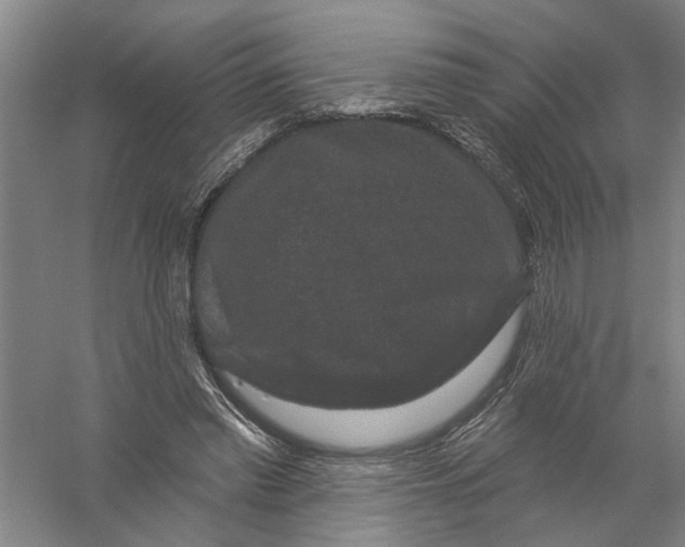 X0000056350397200509232111