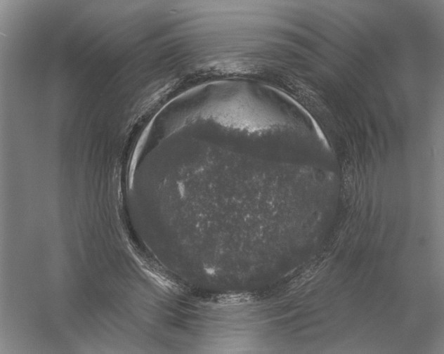 X0000056350398200509232111