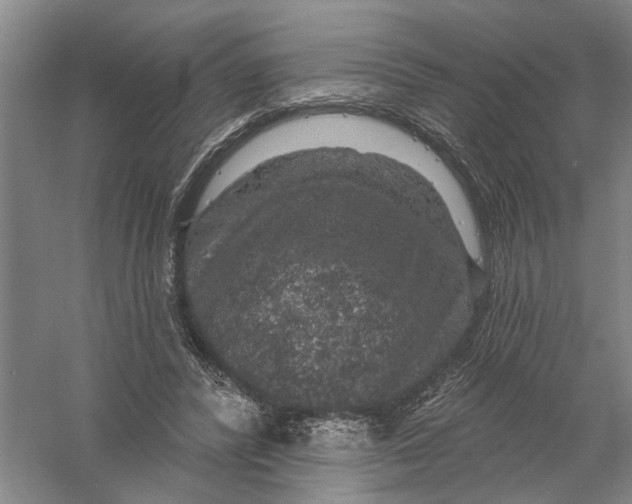 X0000056350400200509232111