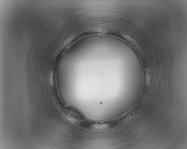 X0000056350403200509232111