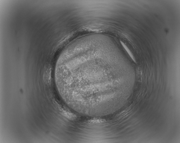 X0000056350404200509232110