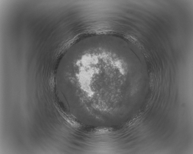 X0000056350405200509232110