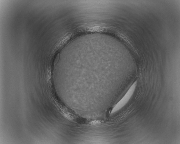 X0000056350407200509232110