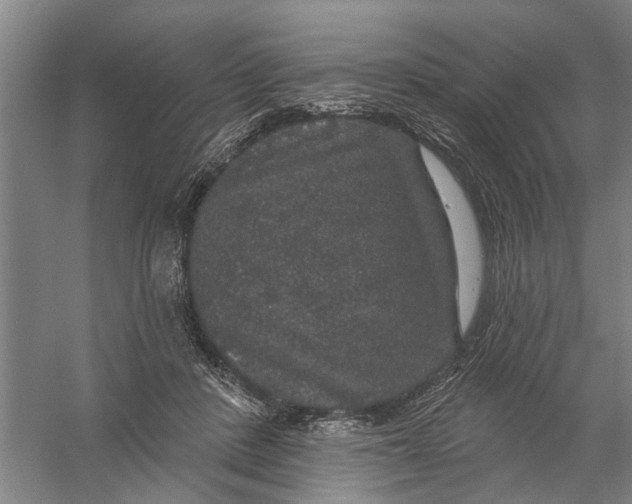 X0000056350408200509232110