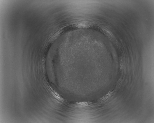 X0000056350409200509232110