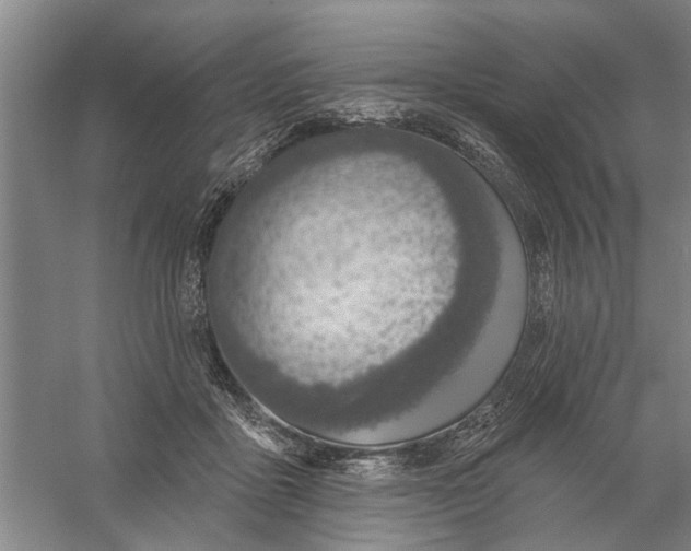 X0000056350411200509232110