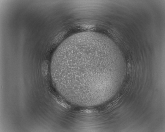 X0000056350412200509232110