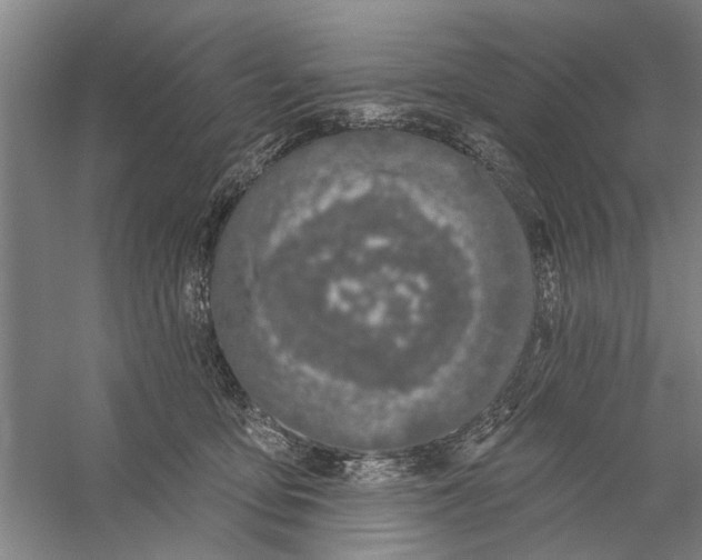 X0000056350419200509232110