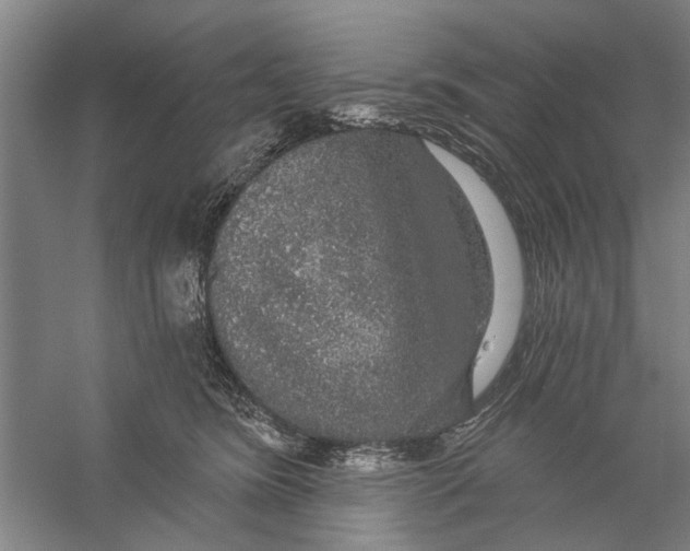 X0000056350420200509232110