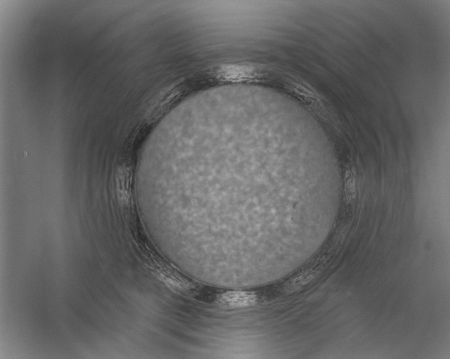 X0000056350421200509232110