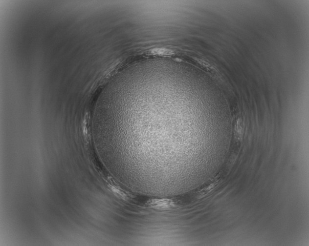 X0000056350424200509232110