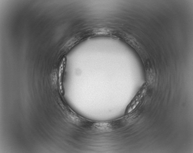 X0000056350427200509232110