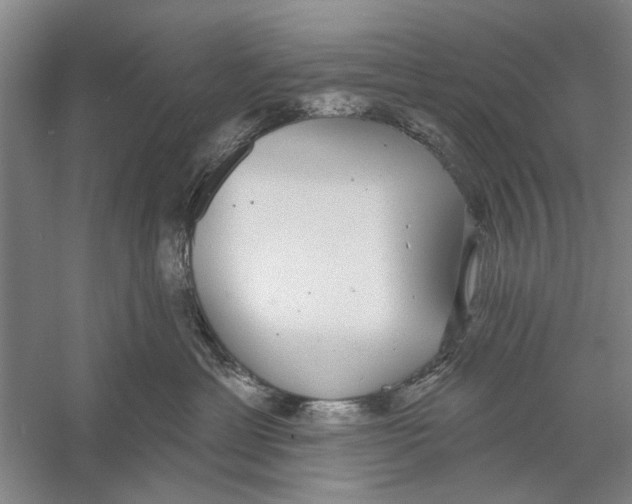 X0000056350429200509232110