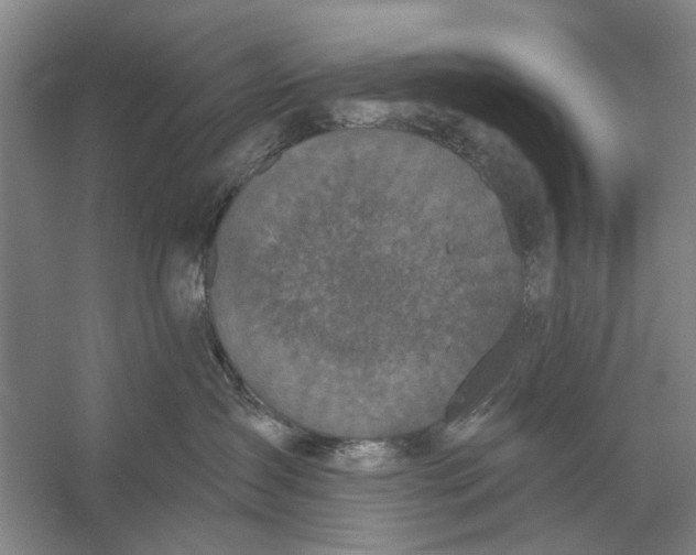 X0000056350431200509232110