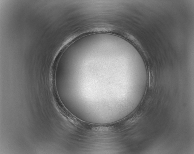 X0000056350435200509232109