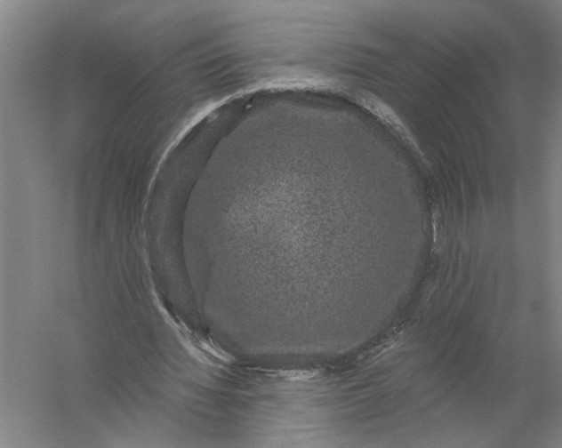 X0000056350436200509232109