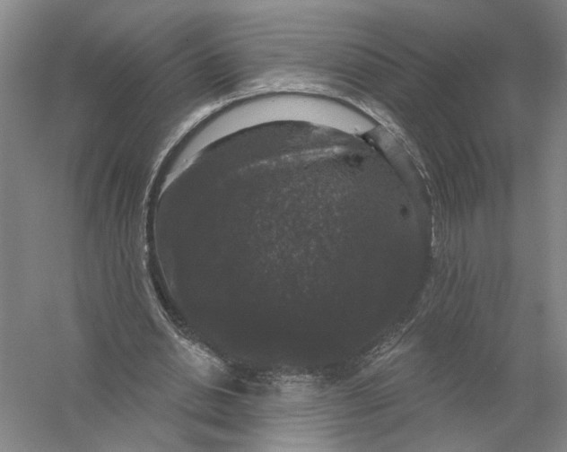 X0000056350438200509232109