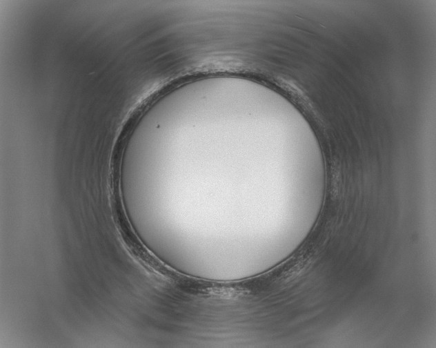 X0000056350439200509232109