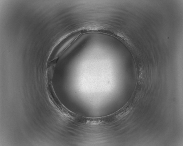 X0000056350440200509232109