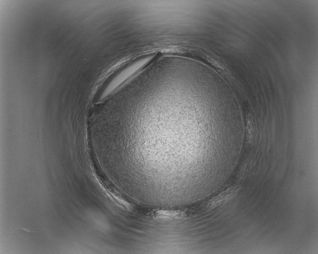 X0000056350442200509232109