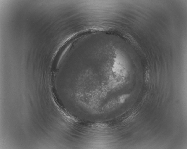 X0000056350444200509232109