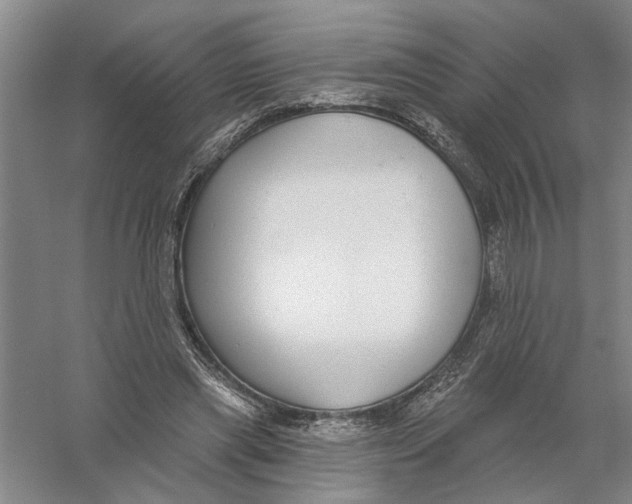 X0000056350445200509232109