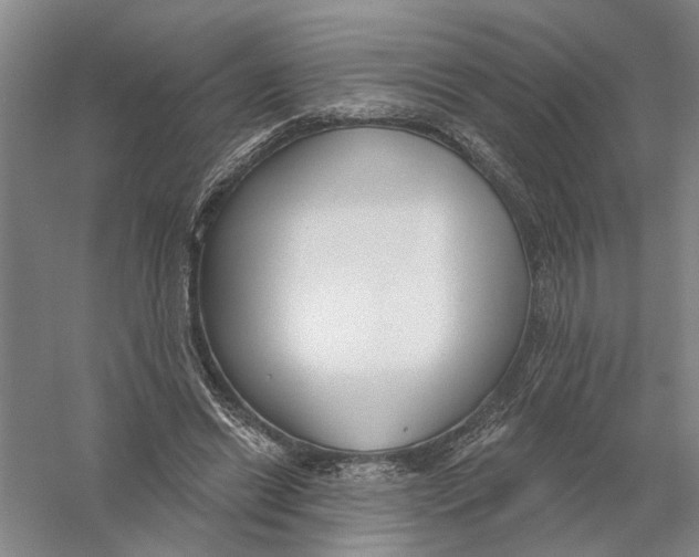 X0000056350446200509232109