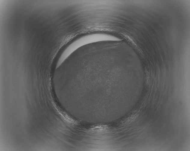 X0000056350447200509232109