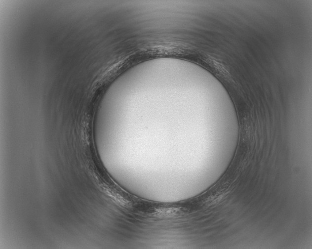 X0000056350450200509232109